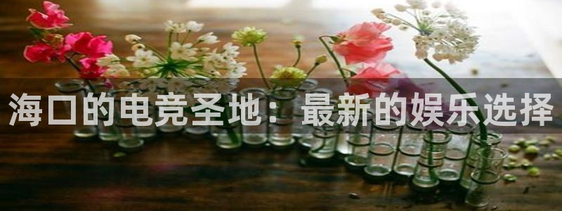 世界第一竞技游戏：海口的电竞圣地：最新的娱乐选择