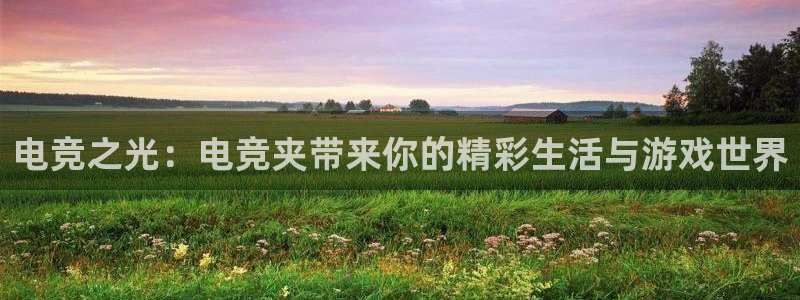 一竞技电竞：电竞之光：电竞夹带来你的精彩生活与游戏世界