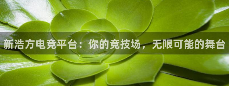 一竞技网址：新浩方电竞平台：你的竞技场，无限可能的舞台
