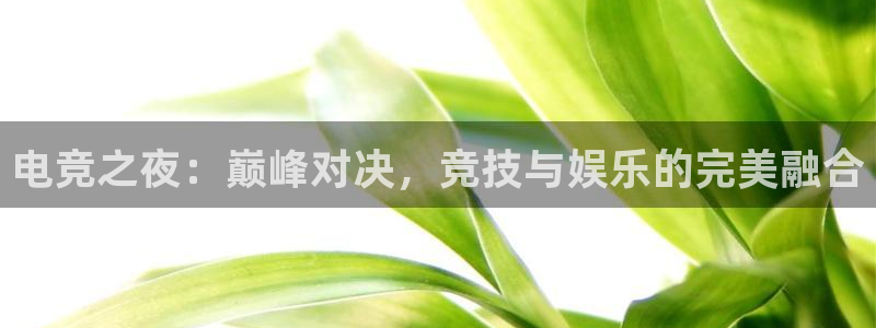 世界第一竞技游戏：电竞之夜：巅峰对决，竞技与娱乐的完美融合