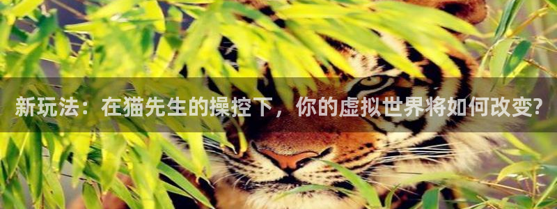 一竞技官网下载：新玩法：在猫先生的操控下，你的虚拟世界将如何改变?
