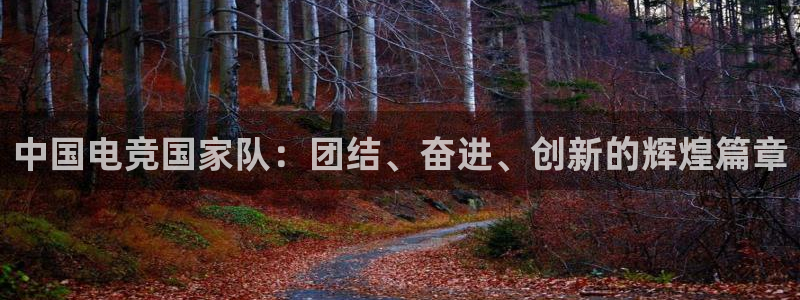 一竞技网址：中国电竞国家队：团结、奋进、创新的辉煌篇章