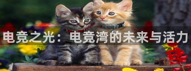 一竞技电竞：电竞之光：电竞湾的未来与活力