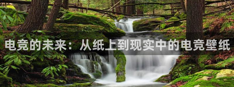 一竞技测速站网址：电竞的未来：从纸上到现实中的电竞壁纸