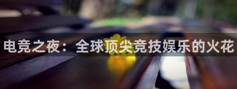 一竞技测速站网址：电竞之夜：全球顶尖竞技娱乐的火花