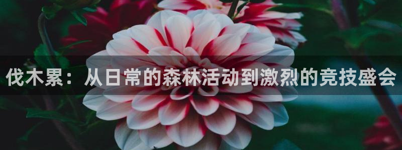 一竞技官方网站入口：伐木累：从日常的森林活动到激烈的竞技盛会